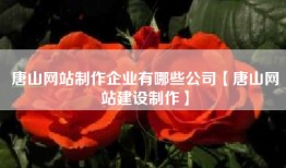 唐山网站制作企业有哪些公司【唐山网站建设制作】