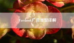 Facebook广告类型详解