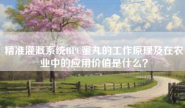 精准灌溉系统HPC蜜丸的工作原理及在农业中的应用价值是什么？