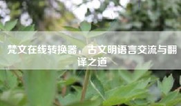 梵文在线转换器，古文明语言交流与翻译之道