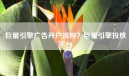 巨量引擎广告开户流程？巨量引擎投放平台