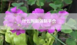 什么叫做强制平仓