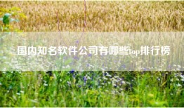 国内知名软件公司有哪些top排行榜
