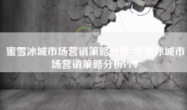 蜜雪冰城市场营销策略分析-蜜雪冰城市场营销策略分析PPT
