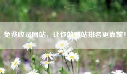 免费收录网站，让你的网站排名更靠前！