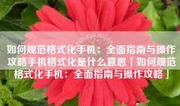 如何规范格式化手机：全面指南与操作攻略手机格式化是什么意思「如何规范格式化手机：全面指南与操作攻略」