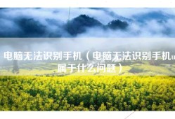 电脑无法识别手机（电脑无法识别手机u属于什么问题）