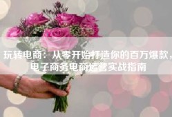玩转电商：从零开始打造你的百万爆款，电子商务电商运营实战指南