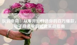 玩转电商：从零开始打造你的百万爆款，电子商务电商运营实战指南