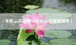 手机cpu在哪看（手机cpu在哪看型号）