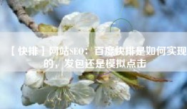 【快排】网站SEO：百度快排是如何实现的，发包还是模拟点击