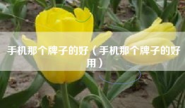 手机那个牌子的好（手机那个牌子的好用）
