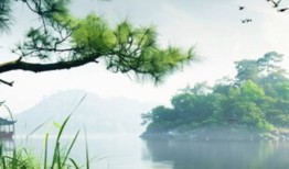 会计讲师待遇怎么样（会计讲师多少钱一节课）