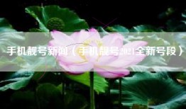 手机靓号新闻（手机靓号2021全新号段）