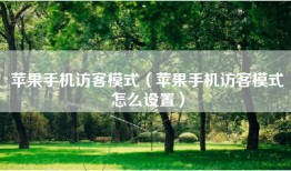 苹果手机访客模式（苹果手机访客模式怎么设置）
