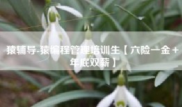 猿辅导-猿编程管理培训生【六险一金＋年底双薪】
