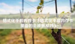 格式化手机内存卡（格式化手机内存卡里面的会被删掉吗）