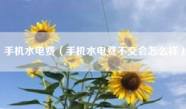 手机水电费（手机水电费不交会怎么样）