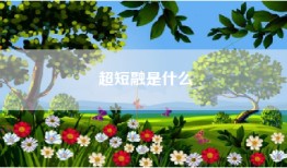 超短融是什么
