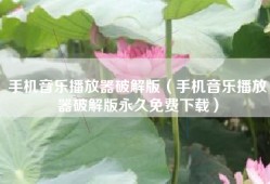 手机音乐播放器破解版（手机音乐播放器破解版永久免费下载）