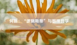 何新：“逻辑斯蒂”与数理哲学