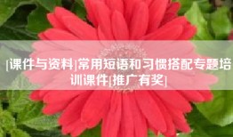 [课件与资料]常用短语和习惯搭配专题培训课件[推广有奖]