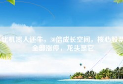 比机器人还牛，30倍成长空间，核心股票全部涨停，龙头是它