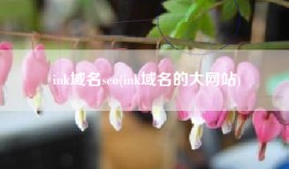 ink域名seo(ink域名的大网站)