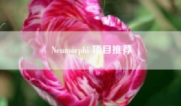 Neumorphi 项目推荐