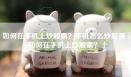 如何在手机上炒股票？手机怎么炒股票「如何在手机上炒股票？」