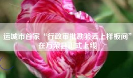 运城市首家“行政审批勘验云上样板间”在万荣县正式上线