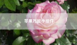 苹果万能小组件