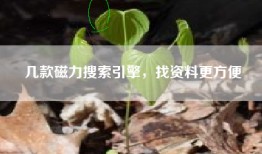 几款磁力搜索引擎，找资料更方便