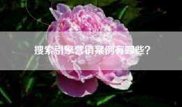 搜索引擎营销案例有哪些？