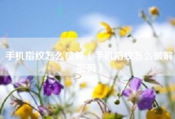 手机指纹怎么破解（手机指纹怎么破解密码）