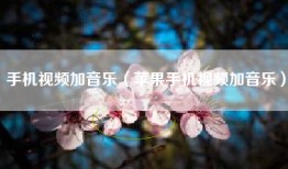 手机视频加音乐（苹果手机视频加音乐）