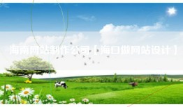 海南网站制作公司【海口做网站设计】