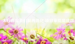 太白县服务机制再优化 项目审批显成效