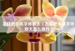 怎样把手机字体放大（怎样把手机字体放大怎么操作）
