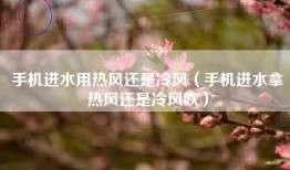 手机进水用热风还是冷风（手机进水拿热风还是冷风吹）
