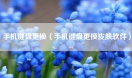 手机键盘更换（手机键盘更换皮肤软件）