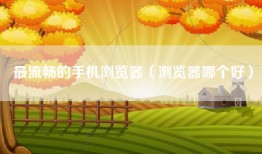 最流畅的手机浏览器（浏览器哪个好）