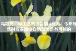 马斯克：中国会有很强的AI能力，今年晚些时候实现全自动驾驶是有可能的