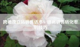 跨境独立站销售话术：提高销售转化率的技巧