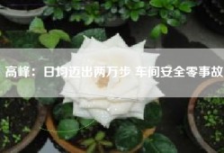 高峰：日均迈出两万步 车间安全零事故