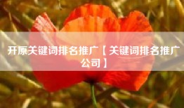 开原关键词排名推广【关键词排名推广公司】