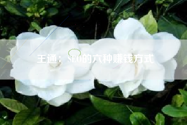 王通：SEO的六种赚钱方式