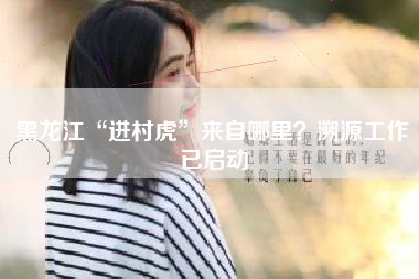 黑龙江“进村虎”来自哪里？溯源工作已启动