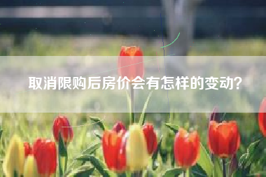 取消限购后房价会有怎样的变动？