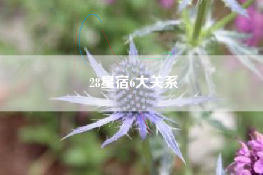 28星宿6大关系